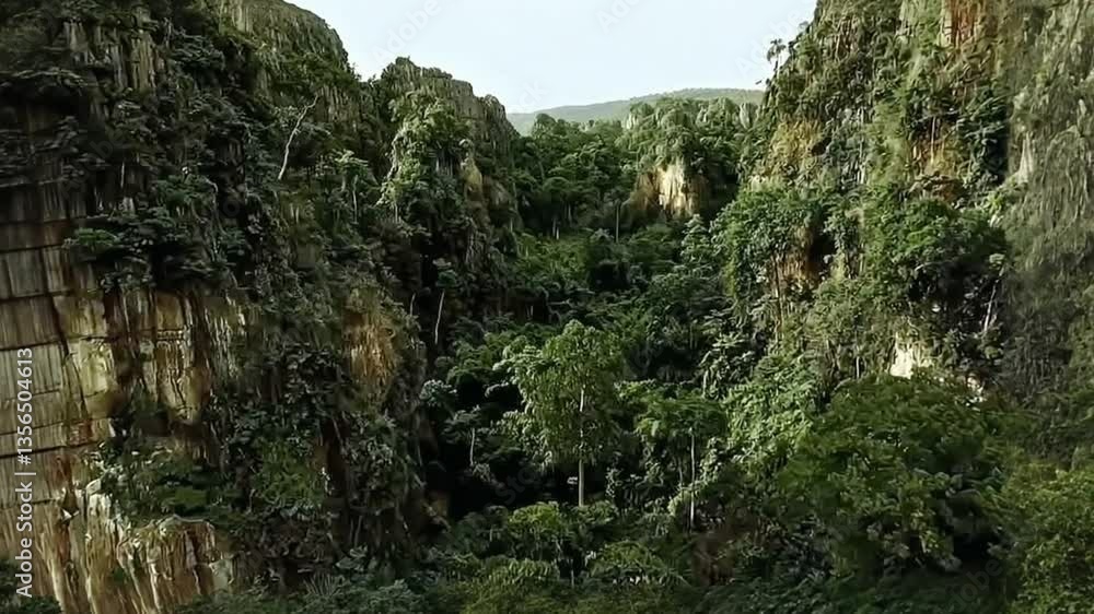 Majestic Tropical Green Canyon with Dense Rainforest Vegetation and Steep Rocky Cliffs - Stunning Natural Landscape in Remote Jungle Wilderness Majestic Tropical Green Canyon with Dense Rainforest Vegetation and Steep Rocky Cliffs - Stunning Natural Landscape in Remote Jungle Wilderness