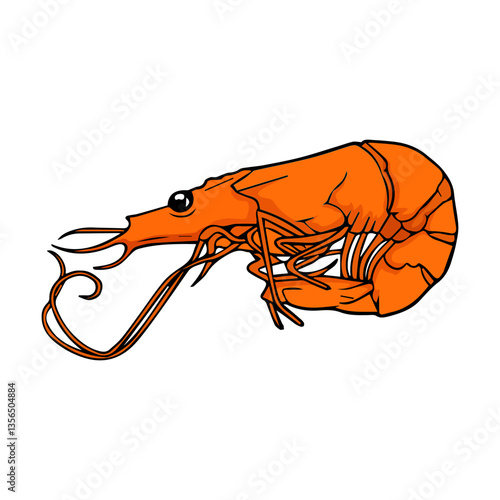 prawn vector illustration