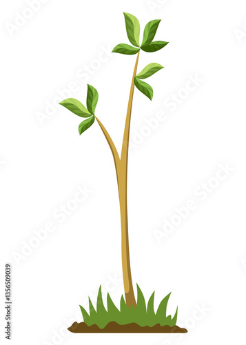Obraz na płótnie Stage of tree growth. Small tree growth with green leaf and branches. Illustration of business cycle development w salonie