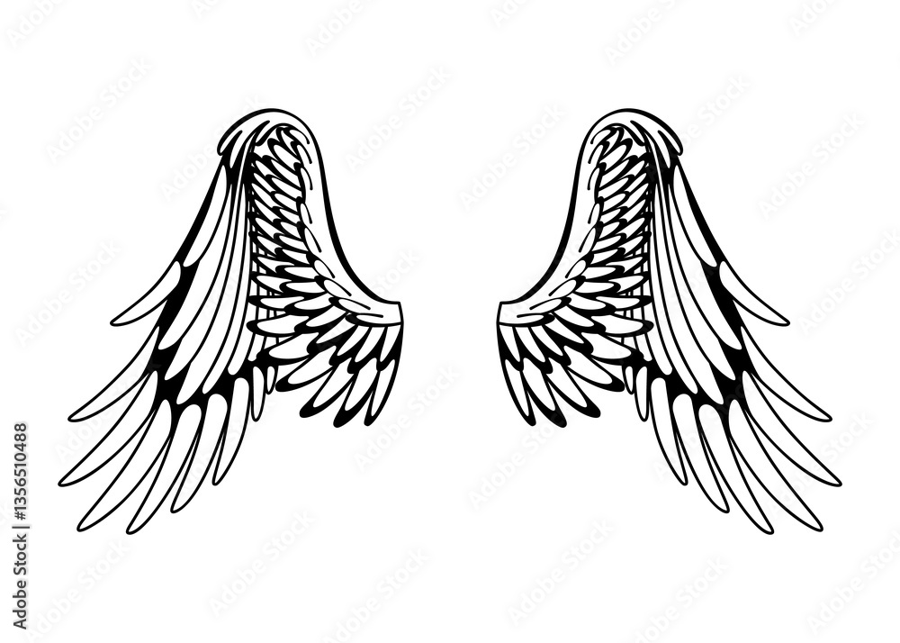 Wings sketch. Stylized birds wings. Hand drawn contoured stiker wing in open position. design elements in coloring style