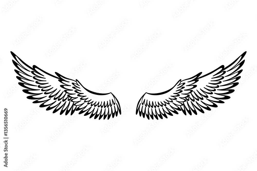 Wings sketch. Stylized birds wings. Hand drawn contoured stiker wing in open position. design elements in coloring style