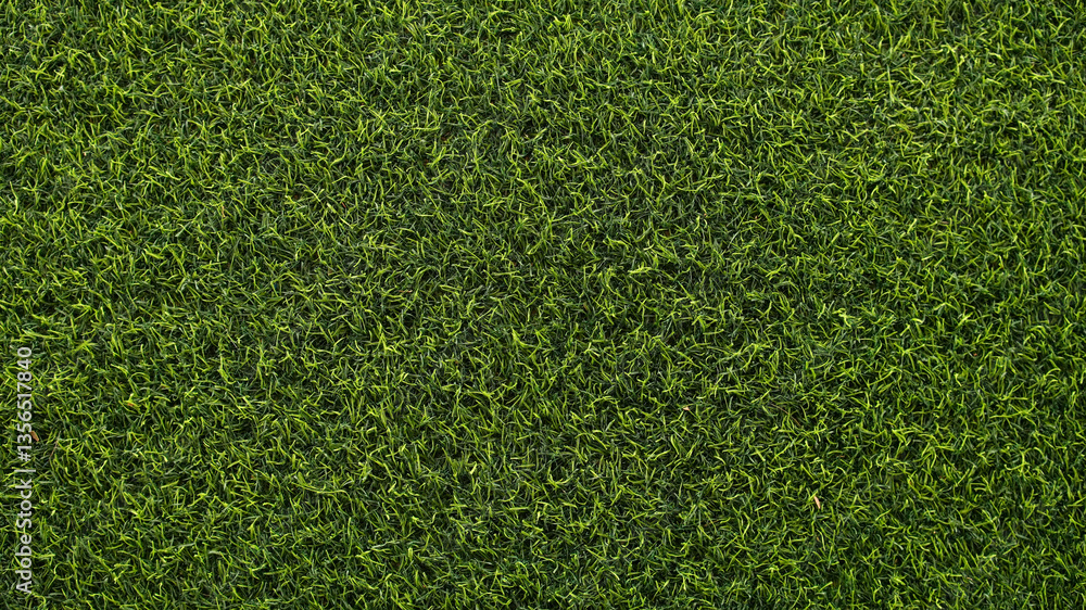 Obraz premium Top view Green Grass Texture Background.