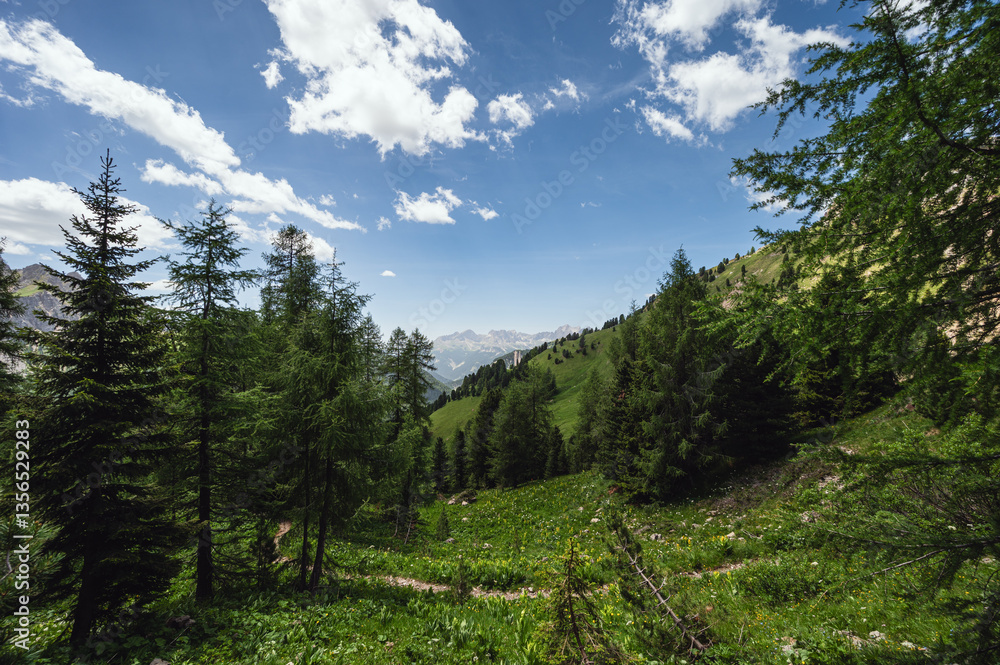 Obraz premium mountain landscape along the San Nicolò trail, Pozza di Fassa, val di Fassa, Dolomites, Italia