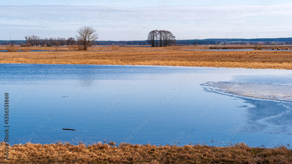 Wiosenne rozlewiska rzeki Narwi, Podlasie, Polska