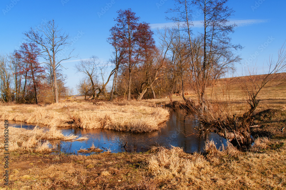 Wiosenne rozlewiska rzeki Narwi, Podlasie, Polska