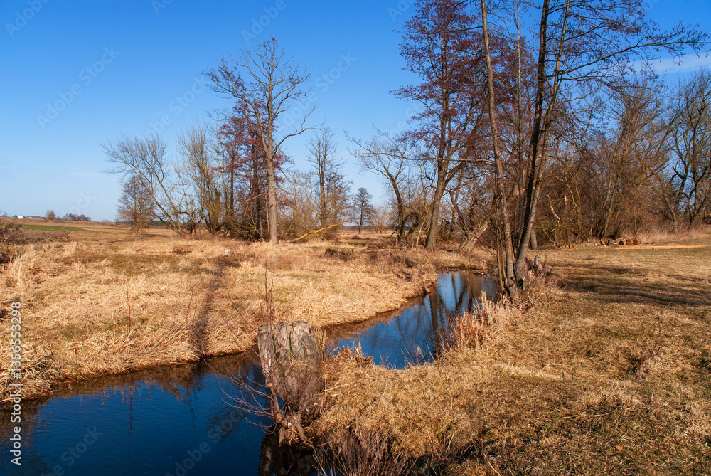 Wiosenne rozlewiska rzeki Narwi, Podlasie, Polska