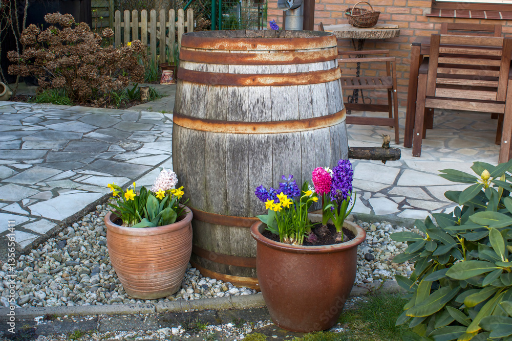 blooming spring flowers - narcissus and hyacinth flowers in clay pots