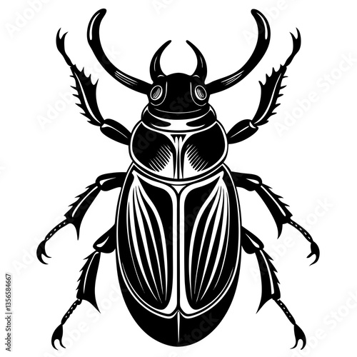 colorado potato beetle