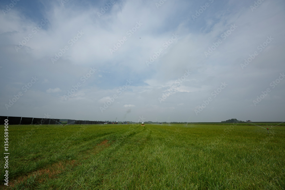 Fototapeta premium Wide open rice field under a cloudy sky in rural area during early afternoon