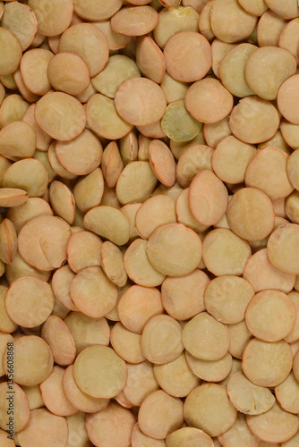 A top-down, close-up shot of a mass of green lentils, showcasing their texture and color