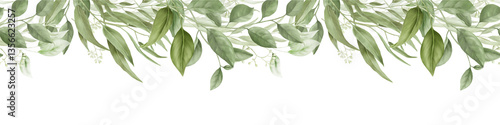 Graceful willow and eucalyptus branches, seamless horizontal border. Digital watercolor illustration. Bamboo branches and an olive tree on a white background. Botanical illustration