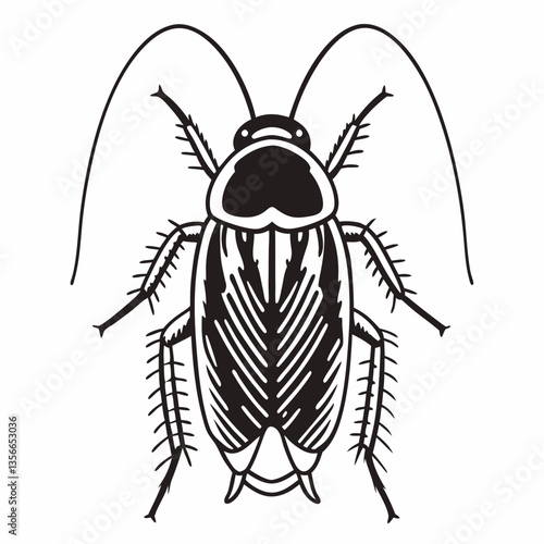 Cockroach Illustration: A detailed, stylized illustration showcases a cockroach, highlighting its segmented body, antennae, and intricate details, perfect for educational or graphic purposes.
