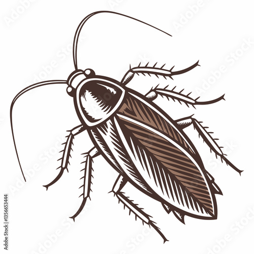 The Insect: Detailed drawing of cockroach, showcasing a close-up view.