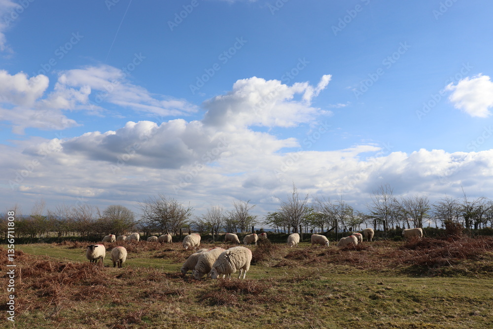 Obraz premium The hills of England and Wales