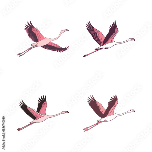 Flamingo flying colored vector art style illustration on white background