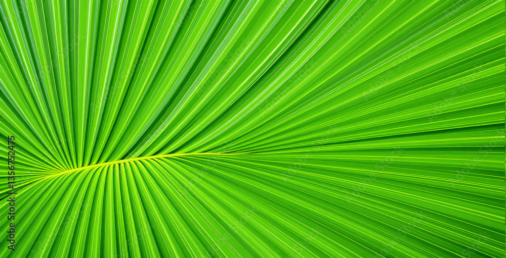 Close-up of a vibrant green palm leaf showing intricate linear texture and natural symmetry. A creative background ideal for nature-themed wallpaper. Ai generative Close-up of a vibrant green palm leaf showing intricate linear texture and natural symmetry. A creative background ideal for nature-themed wallpaper. Ai generative