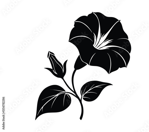 Morning glory  silhouette vector illustration
