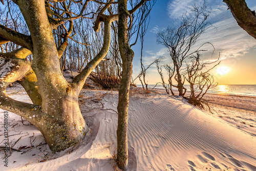 Obraz na płótnie naturstrand w salonie