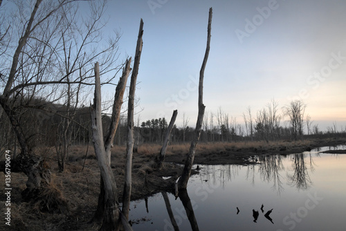 Early Spring Central Massachusetts