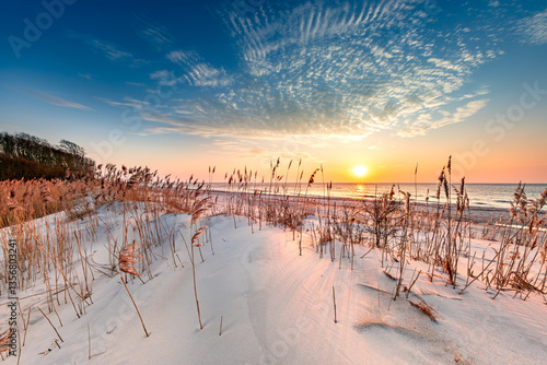 Obraz na płótnie naturstrand w salonie
