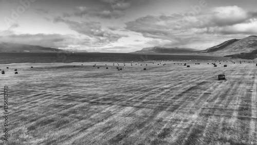 Obraz na płótnie Aerial view of rural traditional house and farm field at small village in Svalbardseyri near Akureyri, Iceland w salonie