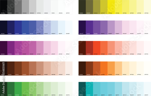 Vibrant Color Palette with Primary, Secondary, and Tertiary Shades for Branding and Design Guidelines. Colours including shades oh black, blue, red. Hue saturation of RGB shades with their hex codes