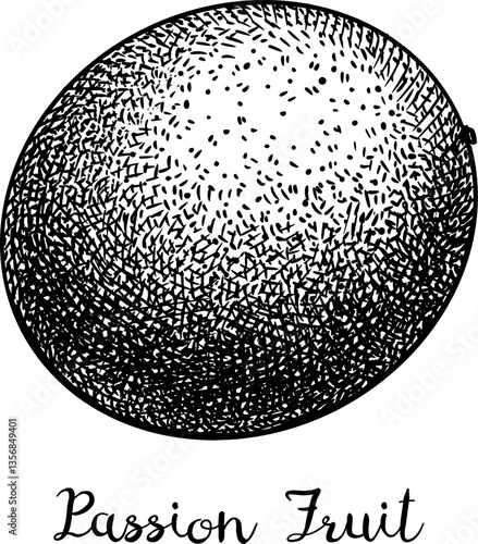 Passionfruit ink sketch