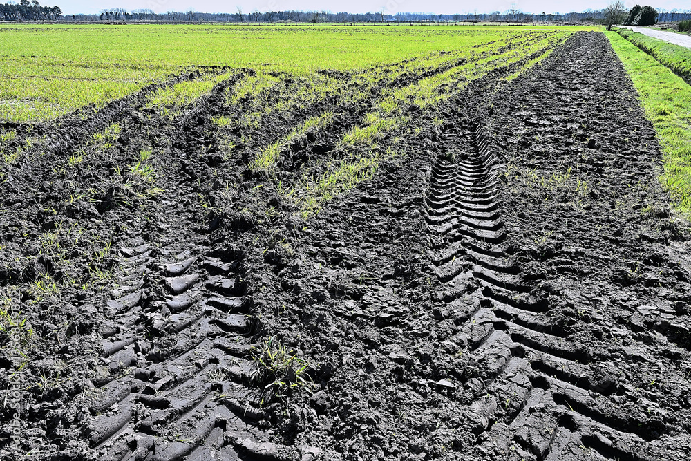 truck tire track in the mud of a cultivated field