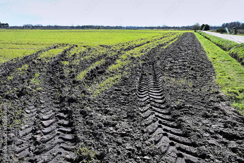 truck tire track in the mud of a cultivated field