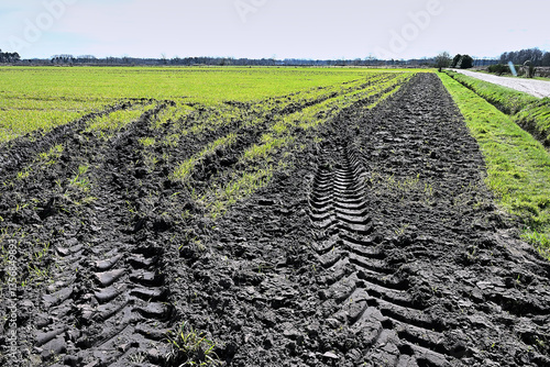 Obraz na płótnie truck tire track in the mud of a cultivated field w salonie