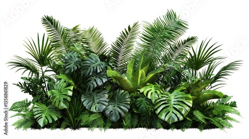 Vibrant Tropical Plants Collection