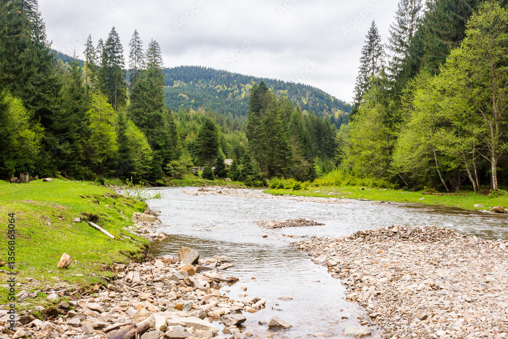 landscape with mountain river in spring. picturesque outdoor. cloudy weather. forest on the shore. beautiful scenery of synevyr national park amazing woodland