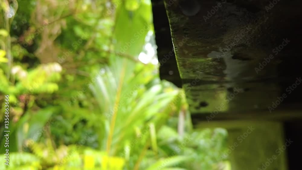 Rain falling on the roof. water drops slow motion Rain falling on the roof. water drops slow motion