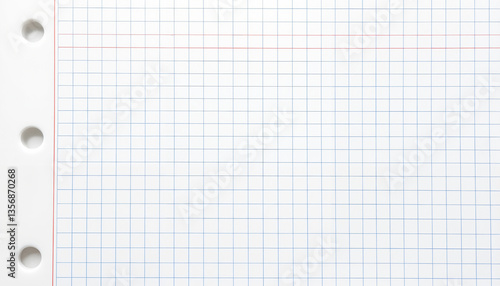 Blank graph paper sheet with hole punches and blue grid  