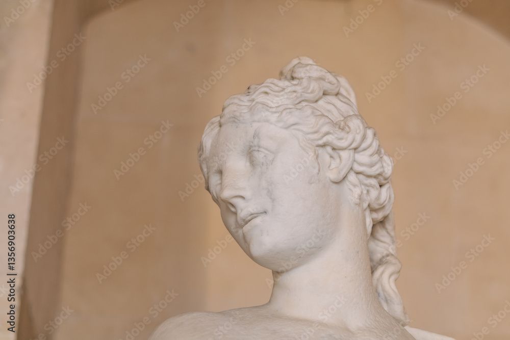 Obraz premium sculpture of a woman