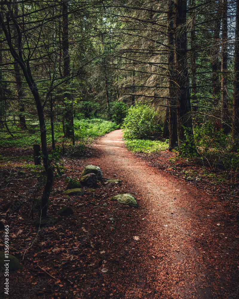Foto op Canvas Bospad Winding forest path through lush greenery, inviting exploration, adventure, and quiet moments in nature’s peaceful embrace #1356939665