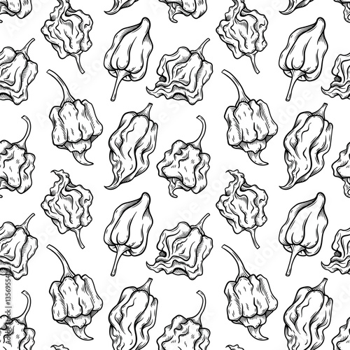 Seamless pattern with hand-drawn illustrations of extra spicy peppers like Carolina Reaper and Trinidad Scorpion. Ideal for spicy food branding, packaging, and textiles.