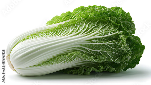 chinese cabbage