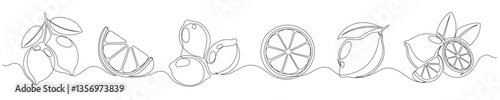 Lemon continuous one line drawing set isolated on a white background. Horizontal banner. Outline lemon citrus collections. Editable stroke. Vector illustration
