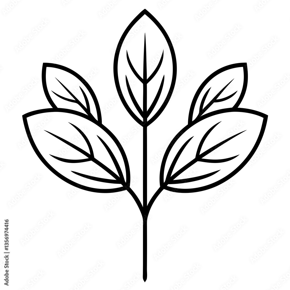 High-quality vector of fenugreek leaves, perfect for food and nature-themed projects. High-quality vector of fenugreek leaves, perfect for food and nature-themed projects.