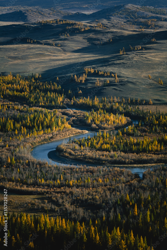 A panoramic view of the autumn forest and the Katun River in Altai, showcasing vibrant fall colors and natural beauty.