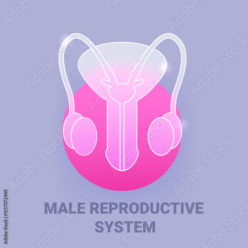 Male reproductive system glass morphism icon. Vector symbol