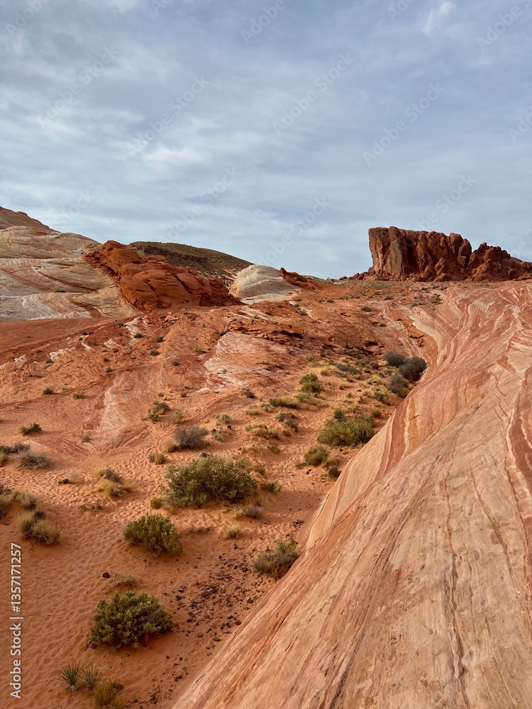 Fototapeta premium Stunning Sandstone Formations in Valley of Fire, Nevada