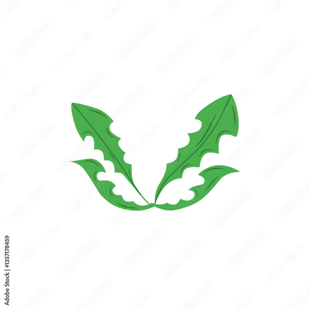 Naklejka premium dandelion leaf vector