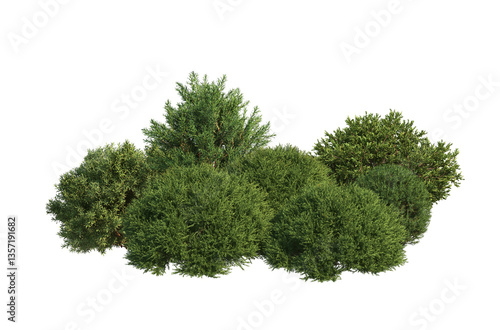 3D Illustration of Various Shrubs and Blooming Flowers Isolated on Transparent Background