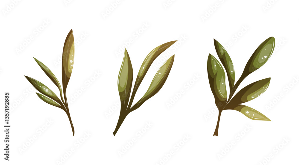 Obraz premium Simple olive branches in flat minimal style.