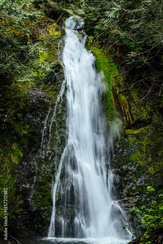 Waterfall in Olympic National Park