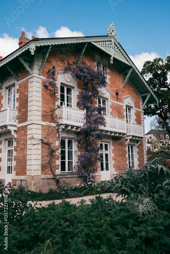 Wisteria Kissed Walls. Nantes, France