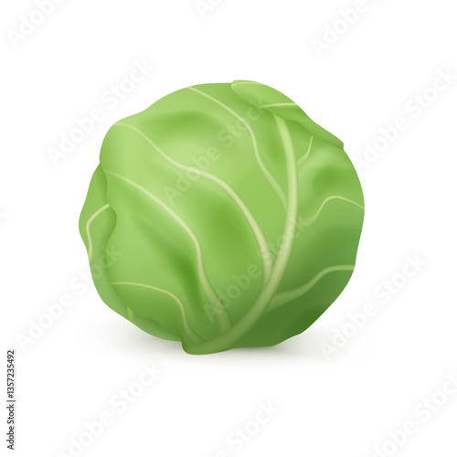 Tasty nutritious ingredient for cooking and preparing meal. Vector isolated realistic delicious vegan or vegetarian food. Nourishment and nutrition, fresh leafy cabbage for salads, market shop