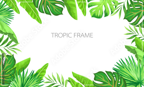 Summer tropic frame. Jungle border with tropical leaves. Botanic background.